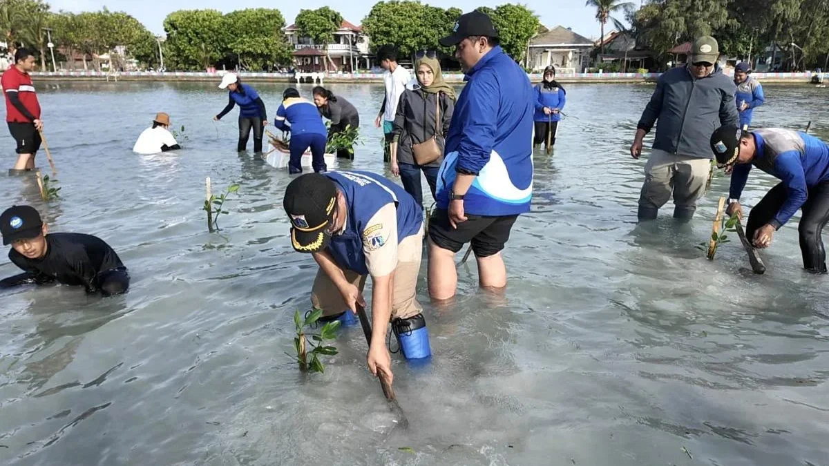 Penanaman mangrove untuk mencegah abrasi di Kepulauan Seribu. (Foto : Beritajakarta)