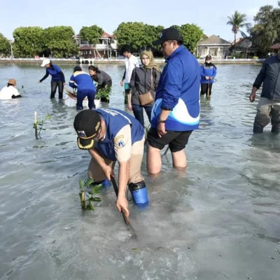 Penanaman mangrove untuk mencegah abrasi di Kepulauan Seribu. (Foto : Beritajakarta)