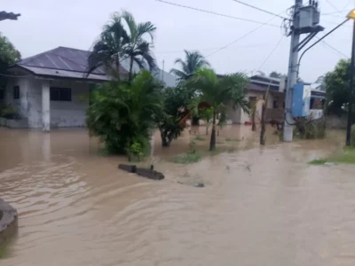 Banjir melanda di sejumlah wilayah di Aceh/BNPB
