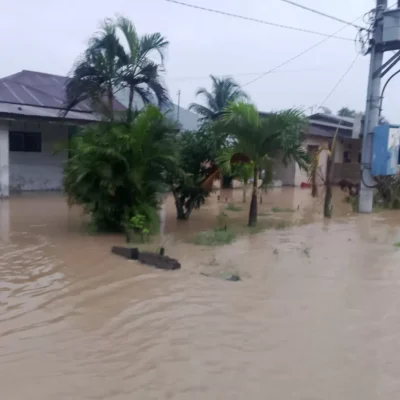 Banjir melanda di sejumlah wilayah di Aceh/BNPB