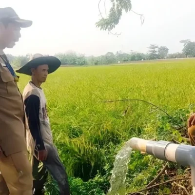 Petugas dari Dinas Pertanian dan Ketahanan Pangan Kabupaten Tangerang sedang meninjau aliran irigasi perpompaan/Pemkab Tangerang