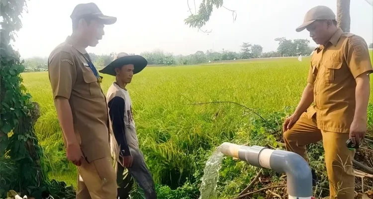 Petugas dari Dinas Pertanian dan Ketahanan Pangan Kabupaten Tangerang sedang meninjau aliran irigasi perpompaan/Pemkab Tangerang